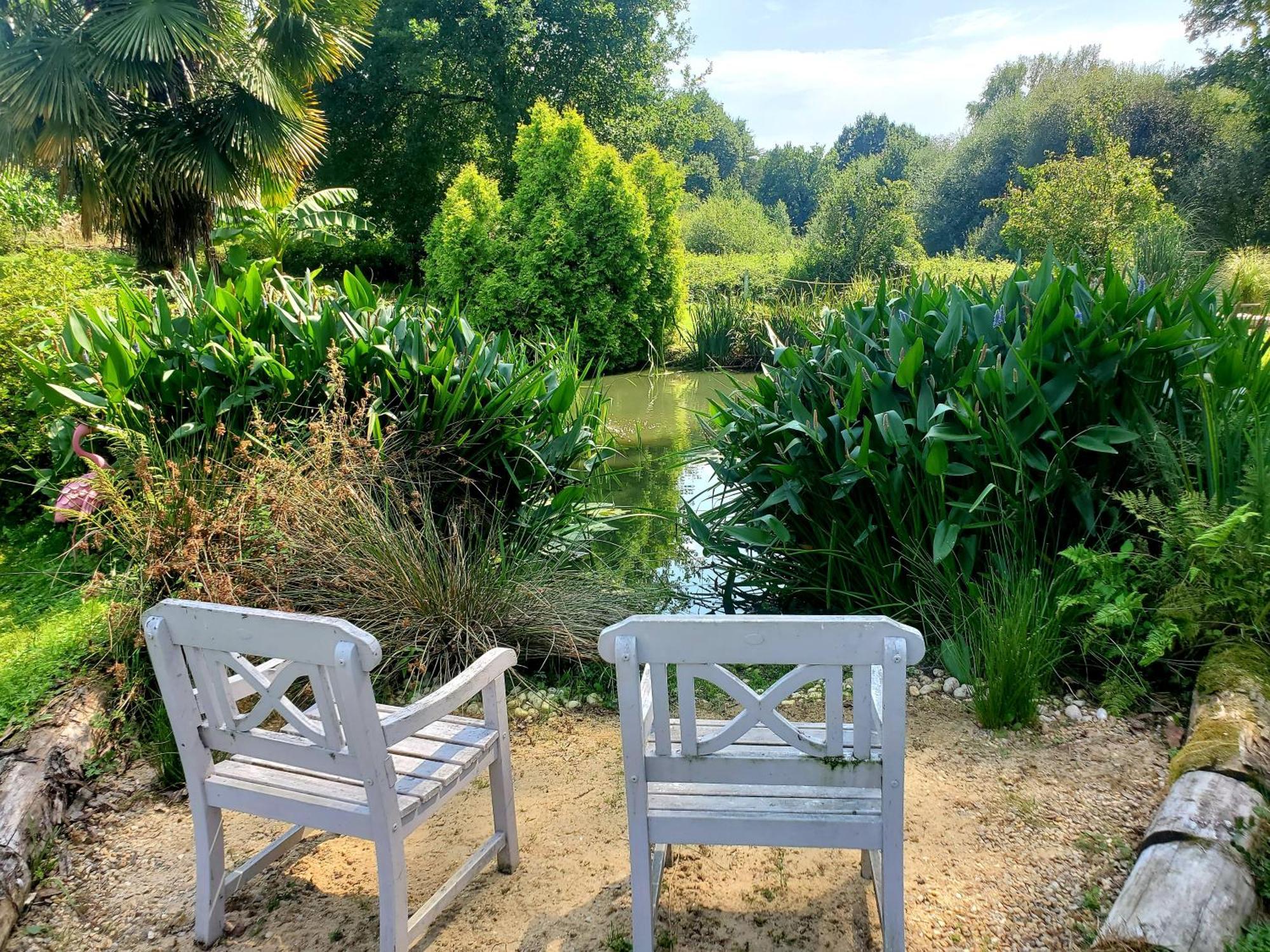 Le Vieux Moulin Gites - Detached Cottage With Garden Views And Pool Guégon Exteriör bild